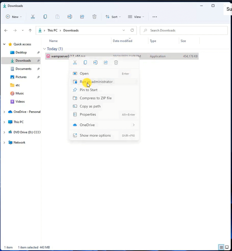 wampserver pour windows 11